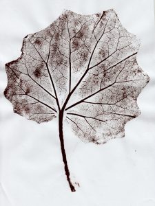 leaf printed image